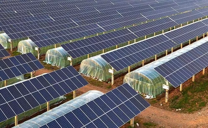 Agricultural Photovoltaic Solution