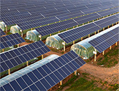 Agricultural Photovoltaic Solution